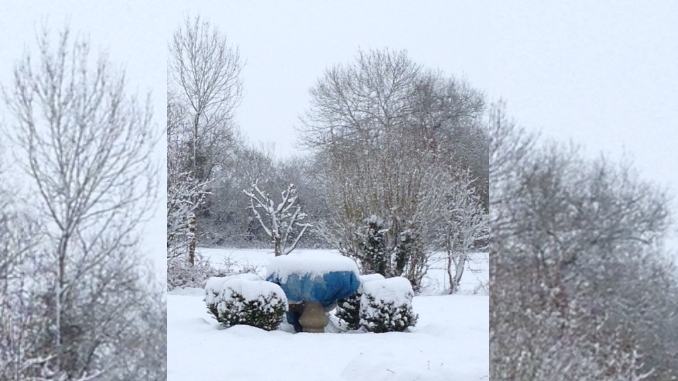 Neige à Faverolles février 2018